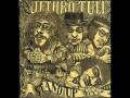 Jethro Tull - Nothing Is Easy 