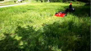 Swisher trailcutter