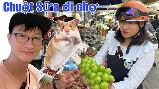Chị Tuyết Và Anh Tiến Cho Chuột Sữa Đi Chợ Chọn Đồ Ăn | Tuyết Tuyết TV