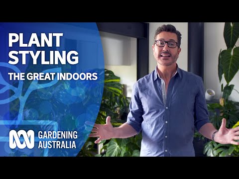 Make indoor plants pop with these style and design tips | The Great Indoors | Gardening Australia