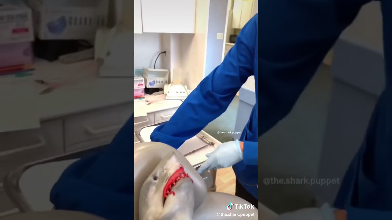 THE.SHARK.PUPPET DENTIST TIK TOK