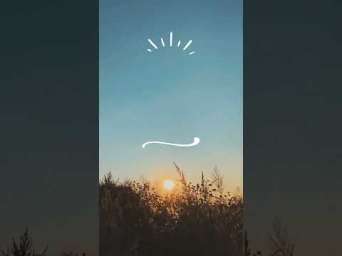 Agradeça sempre! #love #gratidão #pazinterior