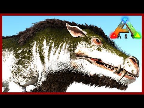 Creature Storage - Daeodon Taming - The Island Map - Ark Survival Evolved Ep 34