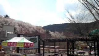 Download lagu david ve tal be korea 18 mp3