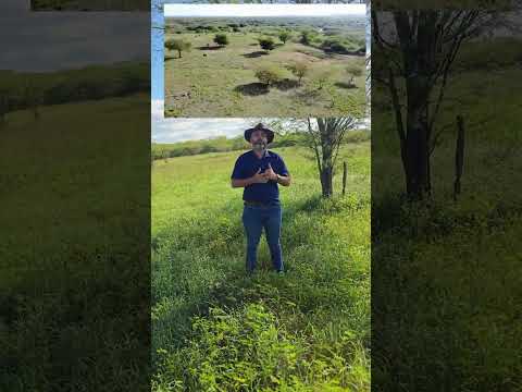 Fazenda em Monteiro na Paraíba medindo 41.8 hectares #nordeste #fazenda #sitio