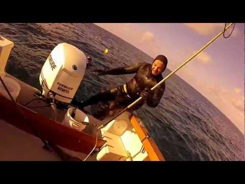 spearfishing hog fish and 78lb black grouper bermuda
