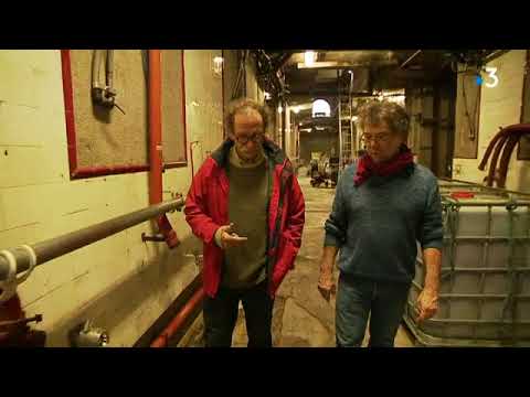 Vergèze (30) : la plus grande coopérative de vins vio de France