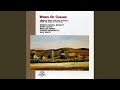 Concerto for Alto Saxophone and Orchestra of Wind Instruments: II. Allegro energico