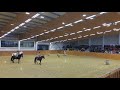 Working Equitation bemutató Szilvásvárad 2017 - Kappel Edit és Favory XXVIII-5 (Faktor)