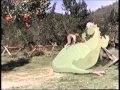 Opening To Song Of The South 1994 VHS