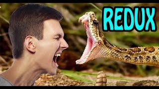 🔴 TOP Animais mais Venenosos do Mundo!