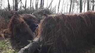 Et une tempête de plus...i