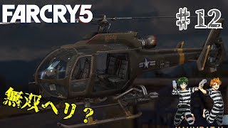 【FARCRY5】実況part12「結局、航空支援が最強」