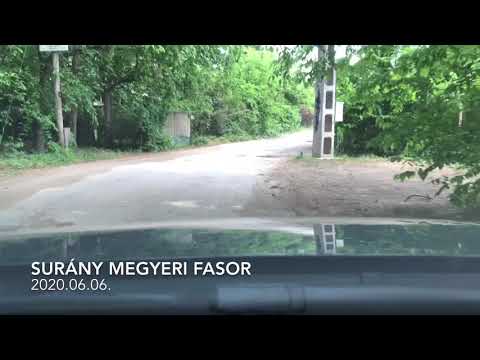 Surány Megyeri fasor - 2020.06.06.