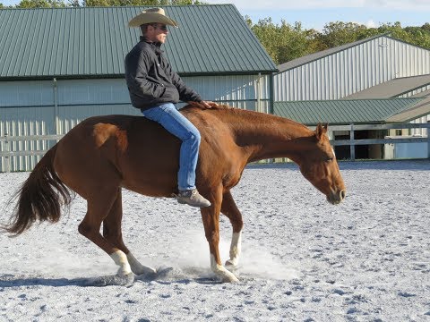 Stop your horse better. Quick tip!