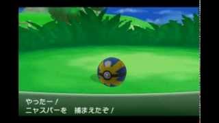 ニャスパー ポケットモンスター ゲコガシラ イワーク ミミロップ ニャスパー ポケットモンスター ゲコガシラ イワーク ミミロップ