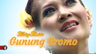 Download lagu Nining Meida - Gunung Bromo  mp3