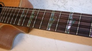 Video thumbnail for Luna High Tide Tenor 8 String Ukulele Review By Scott Grove by Groovy Music Lessons