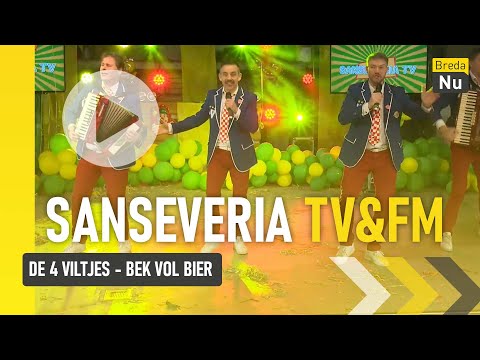 De 4 Viltjes - Bek vol Bier | Sanseveria TV