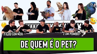 DE QUEM É O PET 2?