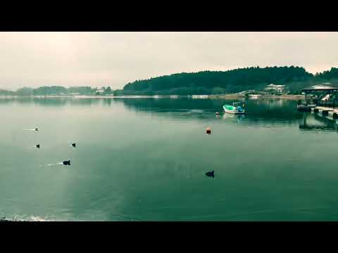 【登米市公式】スポット紹介Vol.3