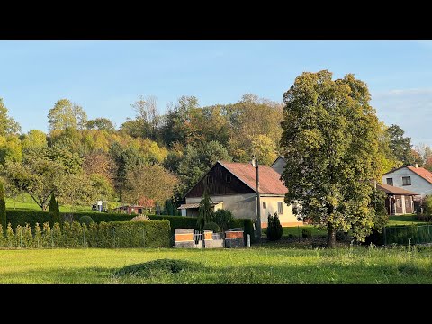 Amazing nature  in Lučina Czech Republic