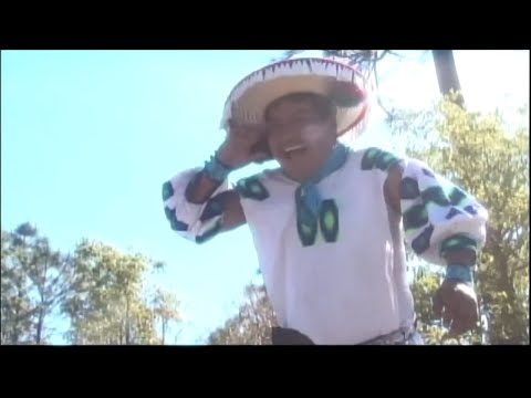 download lagu mp3 mp4 Venado Azul Huichol, download lagu Venado Azul Huichol gratis, unduh video klip Venado Azul Huichol