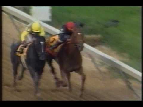 Sunday Silence Preakness Segment 1997 - A Look Back