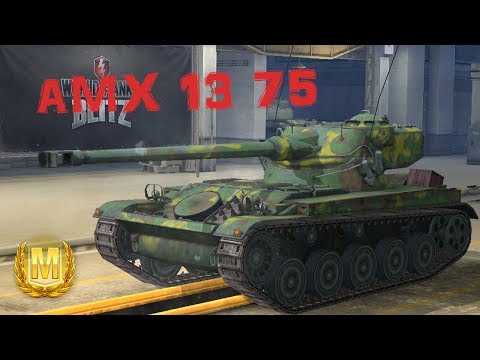 AMX 13 75 (MASTER/2999 dmg) | WoT Blitz