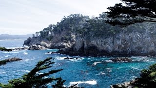 Photo Walk with Outdoor Photographer at Point Lobos
