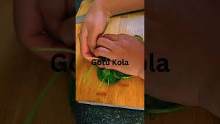 Download lagu Gotukola memotong #video pendek #suka #cinta #inggris #makan #populer #india #video pendek #celana pendek mp3 Download lagu Gotukola memotong #video pendek #suka #cinta #inggris #makan #populer #india #video pendek #celana pendek mp3
