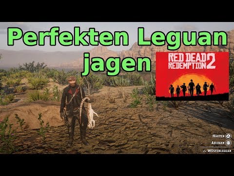 Perfekten Leguan jagen Red Dead Redemption 2 RDR2 Deutsch / German