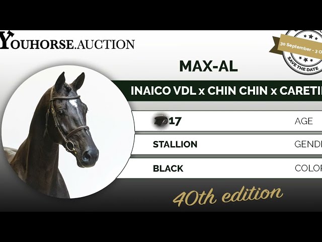 Max-AL