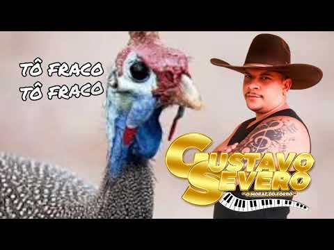 TÔ FRACO TÔ FRACO (GUSTAVO SEVERO) NO PIADO DA ANGOLA, DA ROÇA PRA BAGACEIRA.