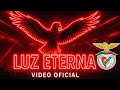 Eternal Light The Benfica ANTHEMS That Will Stay In Your Head