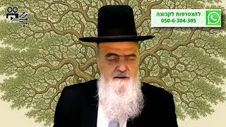 הגאון הרב אהרון בוטבול - הלכה יומית - ט"ו אלול התשפ"ה - הרכבת עצי פרי בגינות, מה חשוב לדעת (הרב אהרון בוטבול) - התמונה מוצגת ישירות מתוך אתר האינטרנט יוטיוב. זכויות היוצרים בתמונה שייכות ליוצרה. קישור קרדיט למקור התוכן נמצא בתוך דף הסרטון הגאון הרב אהרון בוטבול - הלכה יומית - ט"ו אלול התשפ"ה - הרכבת עצי פרי בגינות, מה חשוב לדעת (הרב אהרון בוטבול) - התמונה מוצגת ישירות מתוך אתר האינטרנט יוטיוב. זכויות היוצרים בתמונה שייכות ליוצרה. קישור קרדיט למקור התוכן נמצא בתוך דף הסרטון