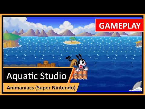 Capa de Aquatic Studio