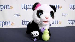 FurReal Friends Pom Pom My Baby Panda from Hasbro