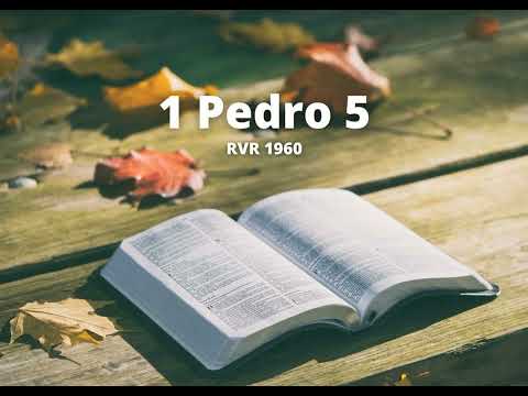 1 Pedro 5 - Reina Valera 1960 (Biblia en audio)