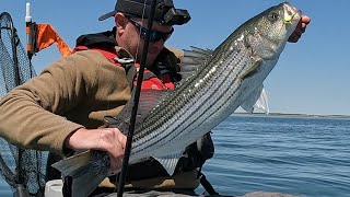 A Well Rounded Day With Lots Of Fish Caught- With Some Underwater Footage