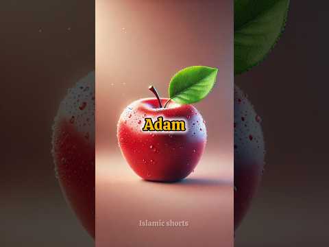 25 prophets of Islam ☪️  | stories from the prophets