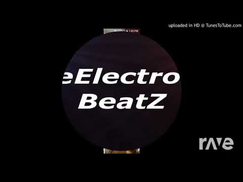 Make Party Echo Vcl - Dj Noisul & Ty Buchanan | RaveDJ