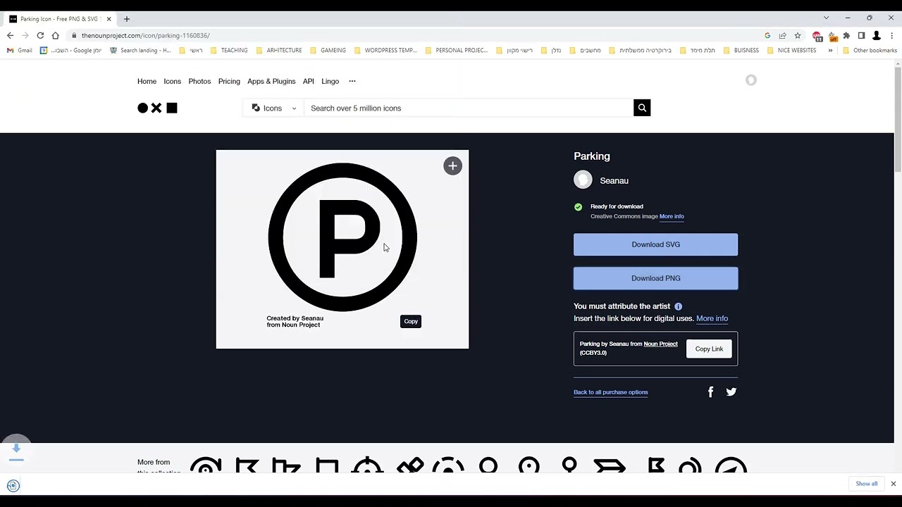 LESSON 05 06 THE NOUN PROJECT