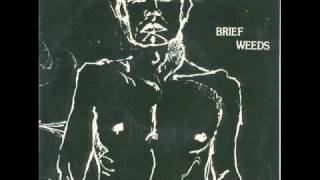 Brief Weeds - A very generous portrait.