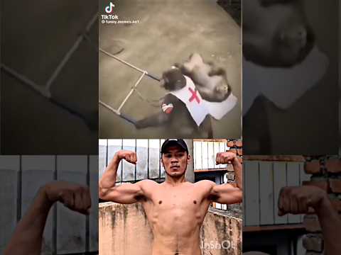 monkey🐒🐵 bombastic#bombastic