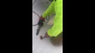 preview picture of video 'Heat welding 50 mil IB PVC on Commercial Roof in Chester Connecticut'