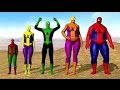 Spiderman Finger Family Song Candy Finger Family Collection Daddy Finger Song For Kids