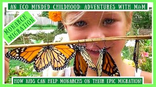 Monarch Butterfly Migration For Kids! All The Ways Kids Can Help Monarchs During Their Migration #monarch #butterfly #migration gameplay video by alucas, 7:10 duration