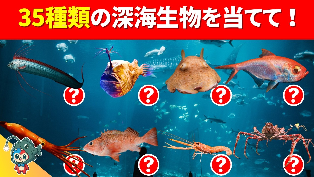 【超難問35問の深海生物クイズ】キミは深海生物博士になれるかな？