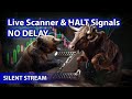 ​🌟Live Scanner  Stock Market scanner - Silent Stream (voice only)  05/28/2024